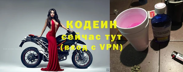 прущие крисы Абаза
