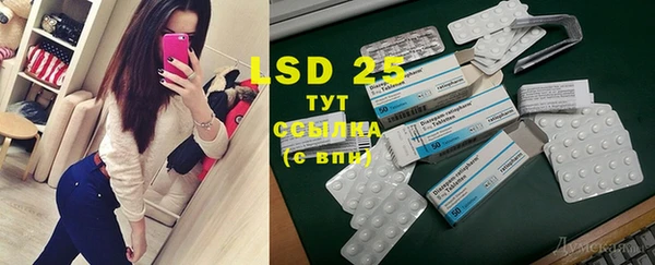 PSILOCYBIN Абинск
